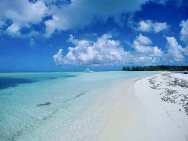 Cozumel At Tamy Tours
