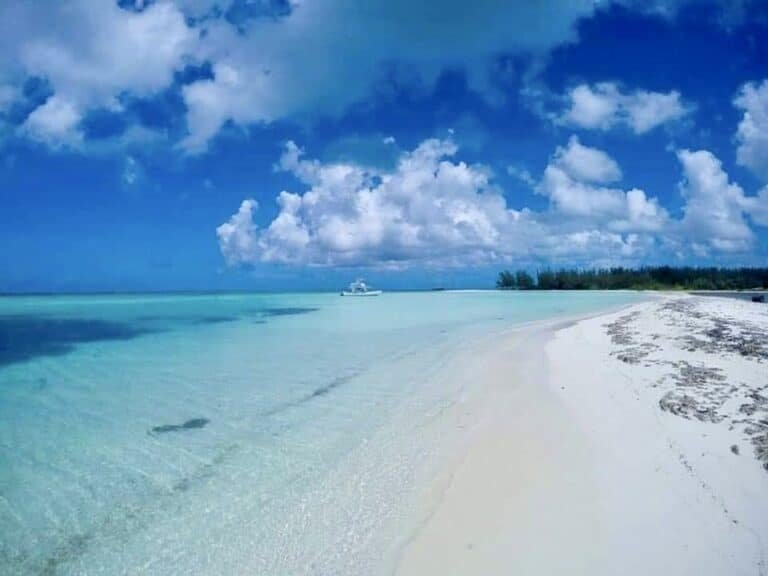 Jeep Wrangler Rental In Cozumel (5 People Max Per Jeep) Tamy Tours