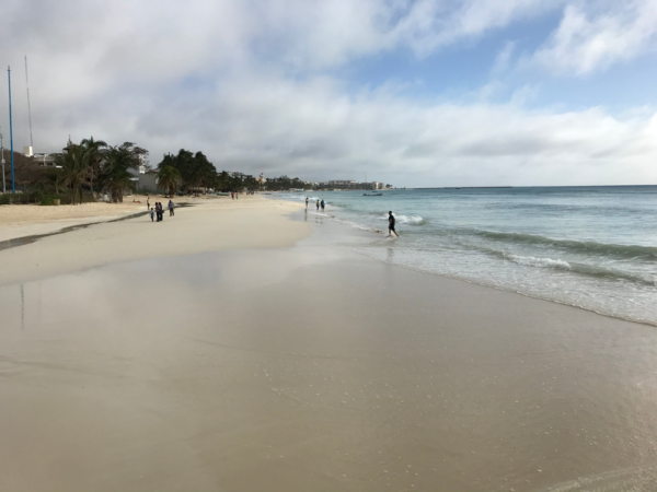 Westside Beach in Cozumel