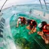 Transparent Boat Experience at Tamy Tours