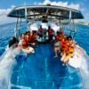 Transparent Boat Experience at Tamy Tours