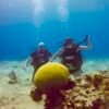 Discover Scuba in Cozumel
