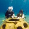 Discover Scuba in Cozumel