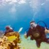 Discover Scuba in Cozumel at Tamy tours