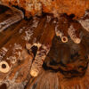 Rio Secreto at Tamy Tours