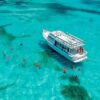 Contoy Island Nature Experience