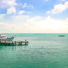 Contoy Island Nature Experience